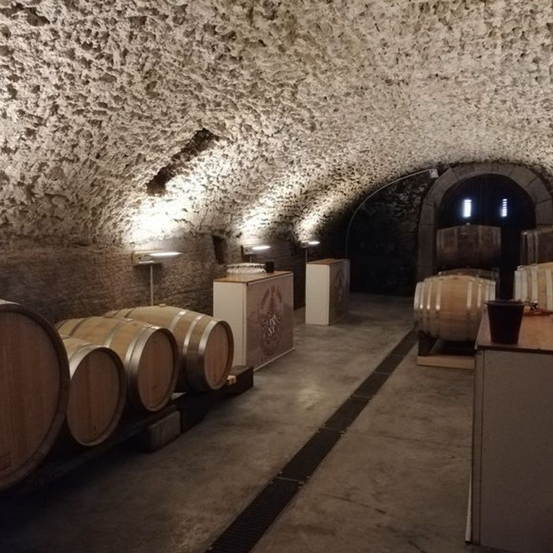 cave de vinification